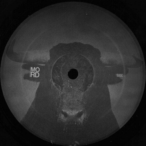 Tensal – Unequal Struggle