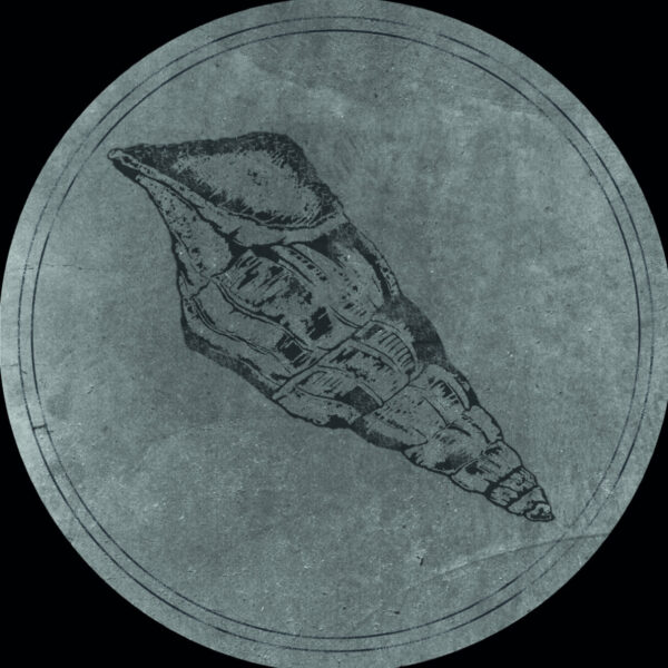 Voiski & Roberto ‎– Calyptraphorus Velatus